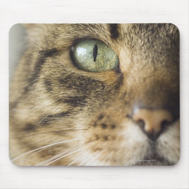 Close-up of cat (focus on eye) mouse pad (Front)