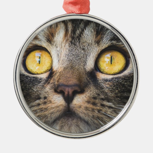 Close-up of Cat with Yellow Eyes Ceramic Ornament (Front)