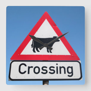 Close-Up Of Cattle Crossing Sign. Western Cape Square Wall Clock