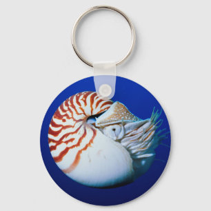 Close-Up Of Chambered Nautilus Keychain