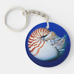 Close-Up Of Chambered Nautilus Keychain