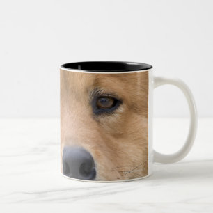 Close up of chow mix dog outdoors. Two-Tone coffee mug