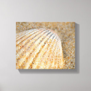 Close up of Cockle SeaShell in the Sand on Beach Canvas Print