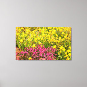close-up of coloured flowering on canvas print