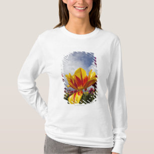 Close Up of Colourful Blooming Tulips In Oregon T-Shirt