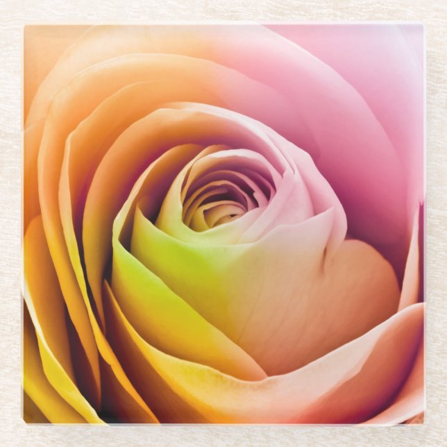 Close up of Colourful Rose Petals Glass Coaster (Front)