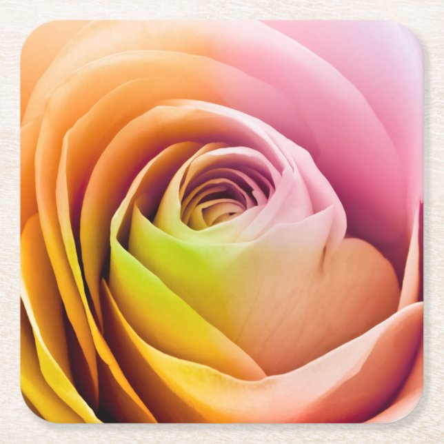 Close up of Colourful Rose Petals Square Paper Coaster (Front)