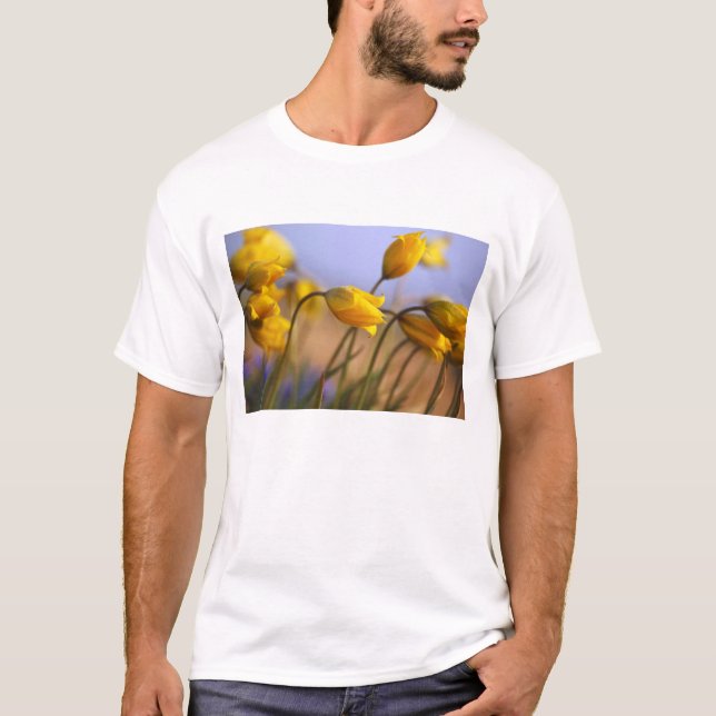 Close-up of daffodils T-Shirt (Front)