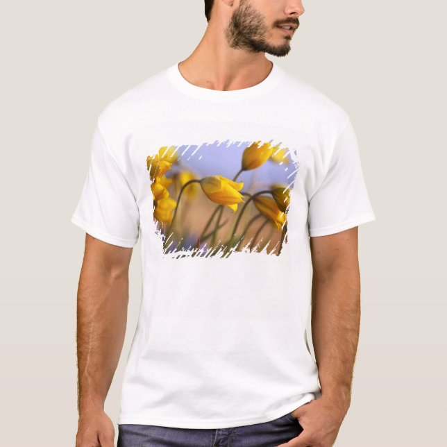 Close-up of daffodils T-Shirt (Front)