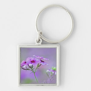 Close-up of Drummond Phlox, Phlox drummondi, Keychain