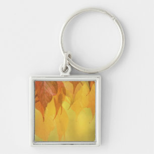 Close-up of Fall Leaves on a Branch Keychain
