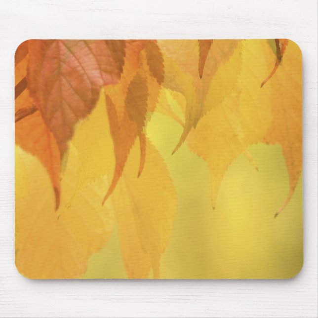 Close-up of Fall Leaves on a Branch Mouse Pad (Front)