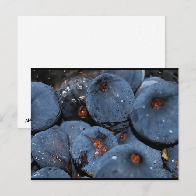 Close up of Fig Fruit Postcard (Front/Back)