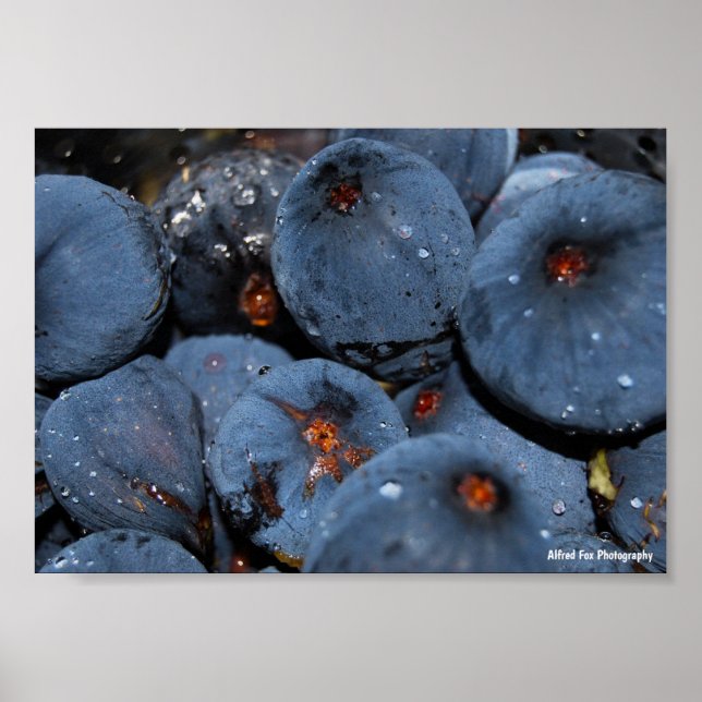 Close up of Fig Fruit Poster (Front)