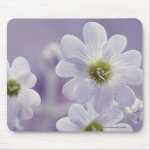Close-up of flowers 2 mouse pad