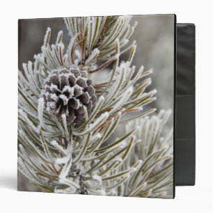 Close-up of frozen pine cone, Yellowstone Binder