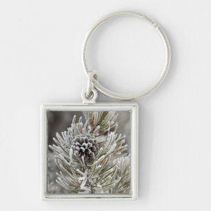 Close-up of frozen pine cone, Yellowstone Keychain