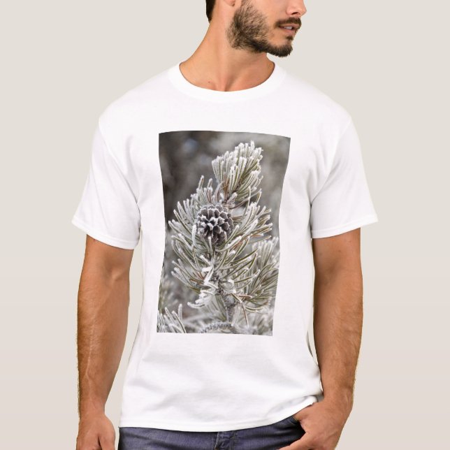 Close-up of frozen pine cone, Yellowstone T-Shirt (Front)