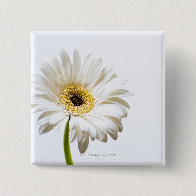 Close up of Gerbera flower head 2 Inch Square Button (Front)