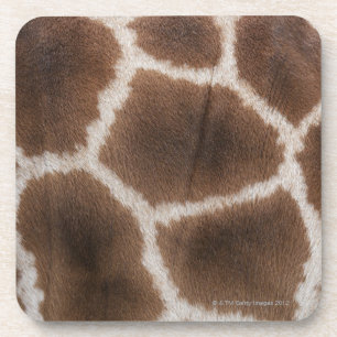 Close up of Giraffes Skin Coaster