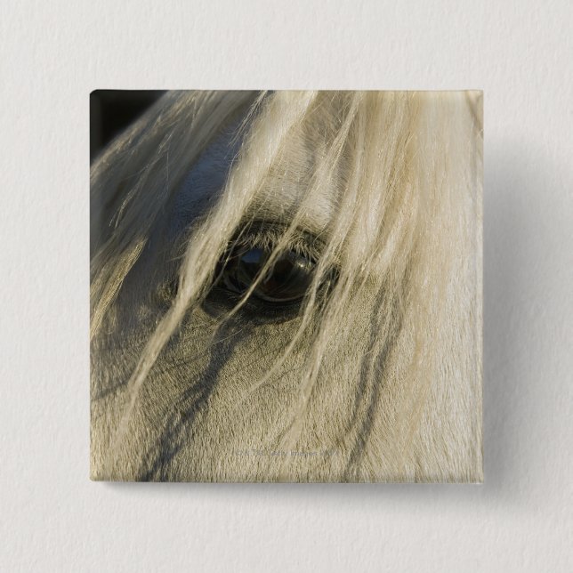 Close-up of Horse eye 2 Inch Square Button (Front)
