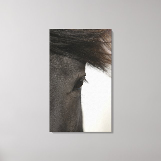 Close-up of  horse eye and hair canvas print (Front)