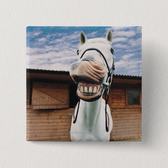 Close-up of Horse with Mouth Open 2 Inch Square Button (Front)