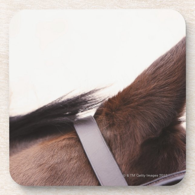 close-up of horses ear with bridal coaster (Front)