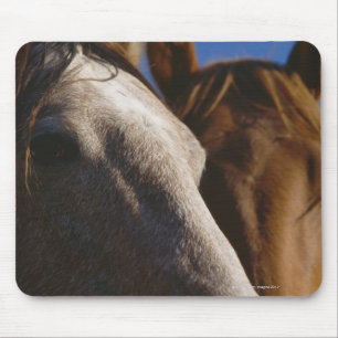 Close Up of Horses Mouse Pad