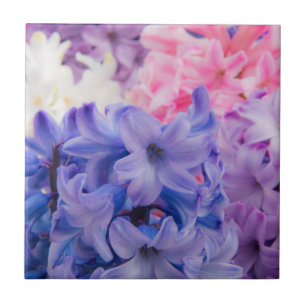 Close-up of Hyacinth plant Tile
