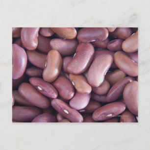 Close-up of kidney beans postcard
