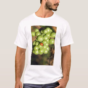 Close up of lady bug on green Pinot Noir grapes T-Shirt