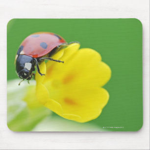 Close-Up of Ladybug Mouse Pad