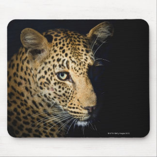 Close up of Leopard, Greater Kruger National Mouse Pad