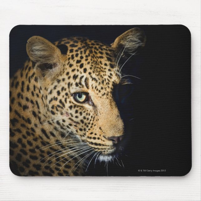 Close up of Leopard, Greater Kruger National Mouse Pad (Front)