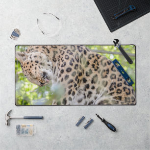 Close up of Leopard Photo Desk Mat