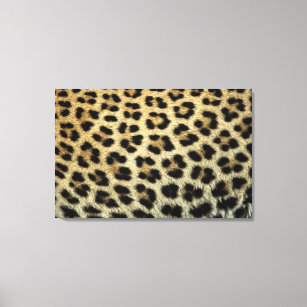 Close up of Leopard spots, Africa Canvas Print
