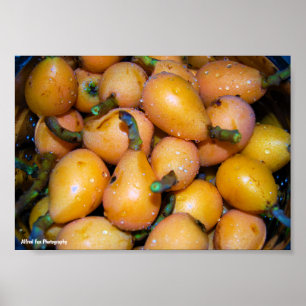 Close up of Loquat Fruit Poster