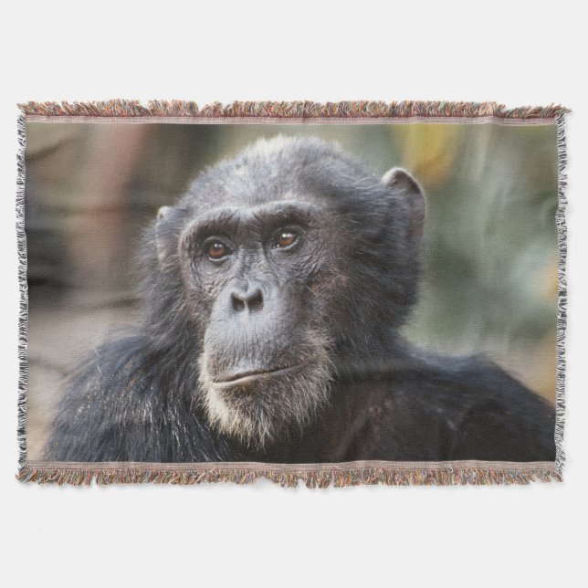 Close-up of male Chimpanzee Throw Blanket (Front)