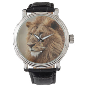 Close-up of male Lion Watch