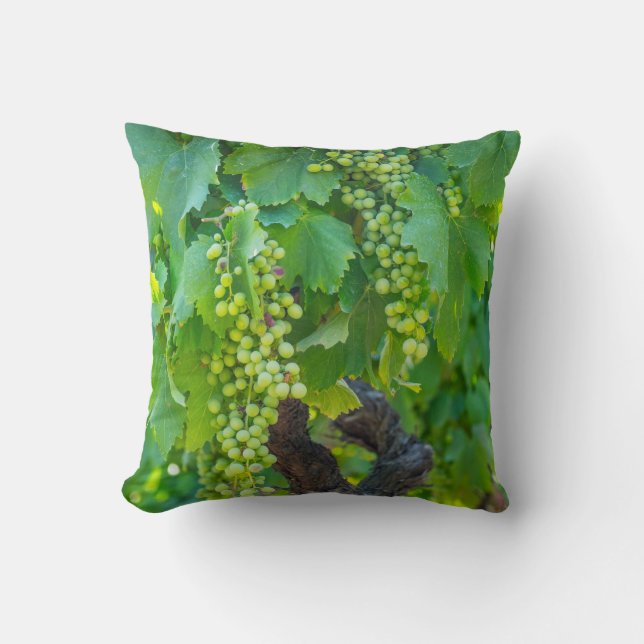 Close Up Of Maturing Grapes Throw Pillow (Front)