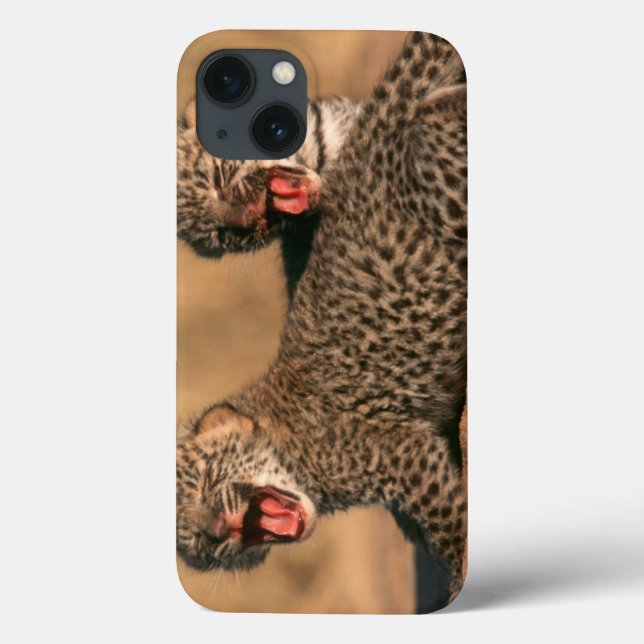 Close-Up Of New Born Leopard (Panthera Pardus) Case-Mate iPhone Case (Back)
