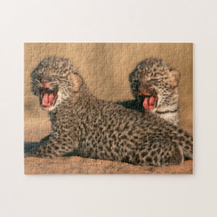 Close-Up Of New Born Leopard (Panthera Pardus) Jigsaw Puzzle