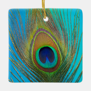 Close up of peacock feather ceramic ornament
