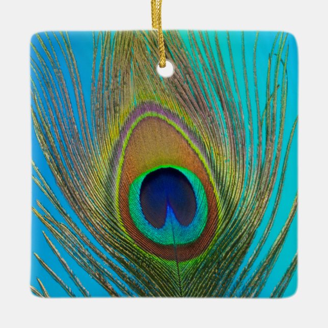 Close up of peacock feather ceramic ornament (Front)