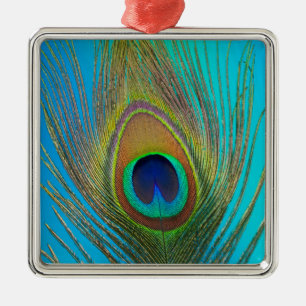 Close up of peacock feather metal ornament
