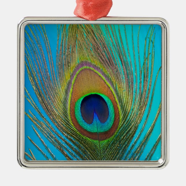 Close up of peacock feather metal ornament (Front)