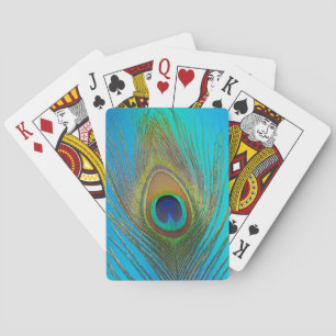 Close up of peacock feather playing cards