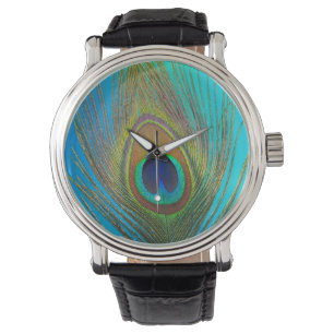 Close up of peacock feather watch