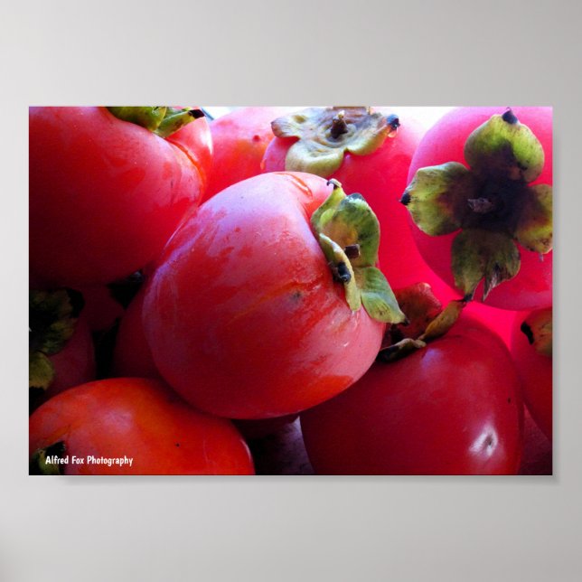 Close up of Persimmon Fruit Poster (Front)